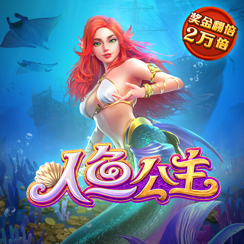 教育部回应教育高质量发展热门话题